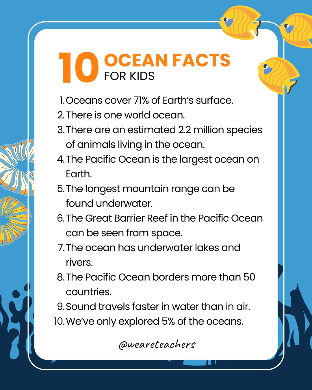 53 Ocean Facts That Will Amaze You