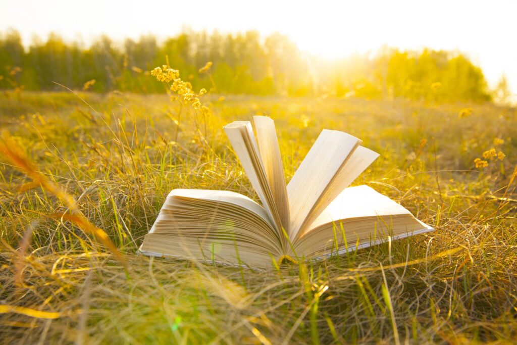 Reading Policy, the Wind and the Sun