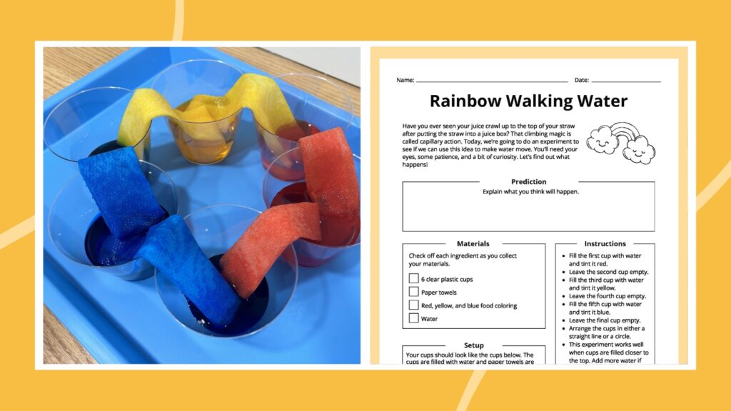 Rainbow Walking Water Experiment