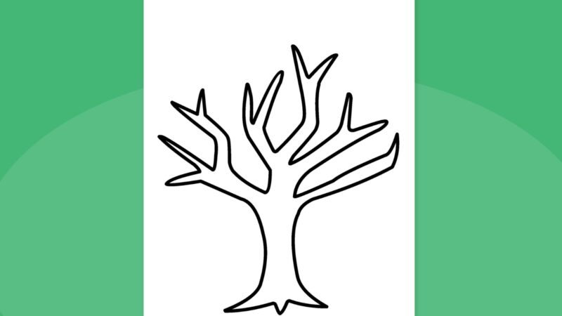 [image: Tree Template without leaves]