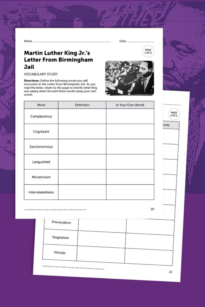Images from the Letter from Birmingham Jail Worksheet Bundle