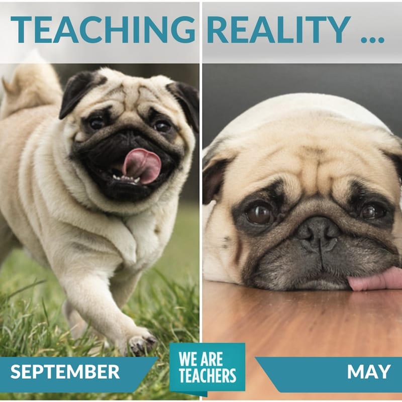 teacher_meme_end_of_year_comparison teaching reality meme