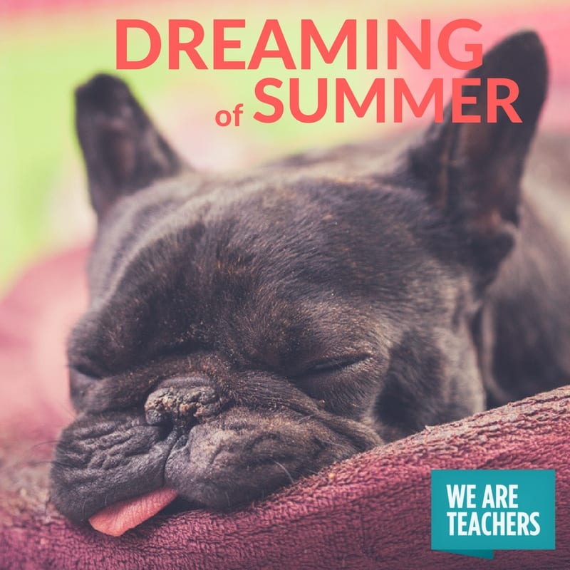 teacher_meme_end_of_year_dreaming end of year dreaming of summer