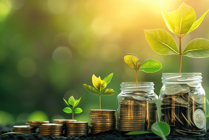 Financial Literacy for Teachers