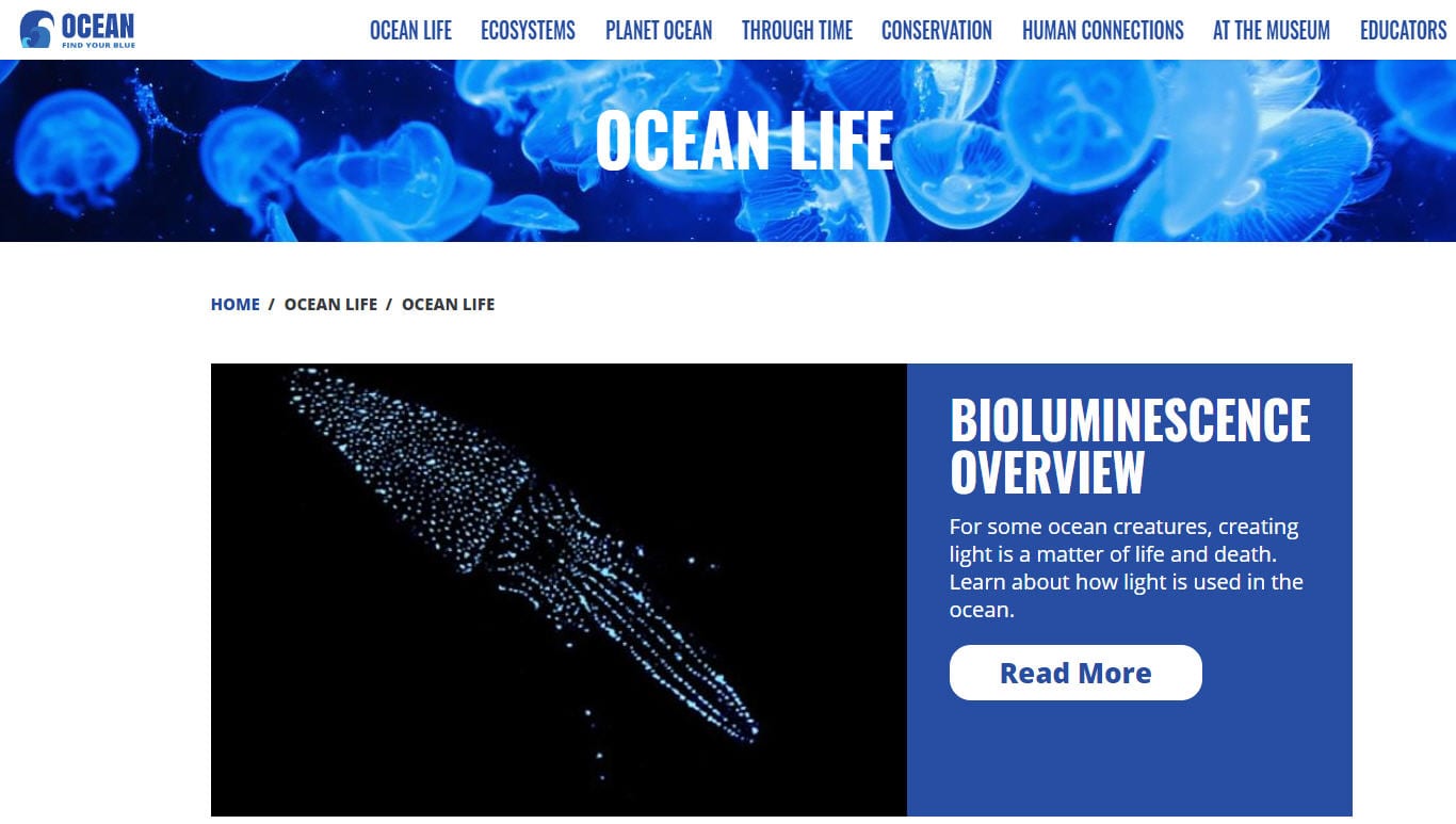 Ocean Activities Online