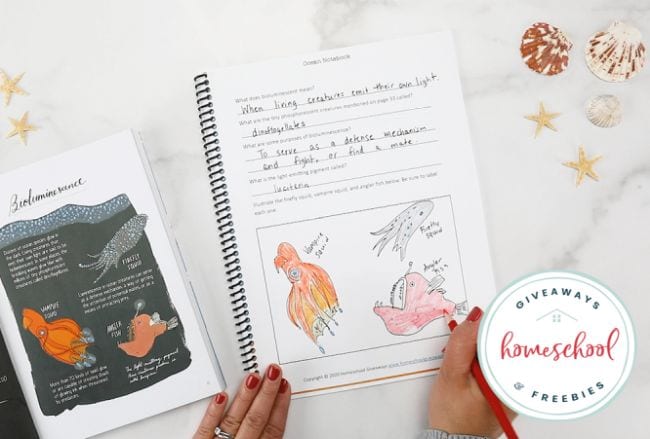 Ocean Activities Homeschool Giveaways Ocean Activities Homeschool Giveaways