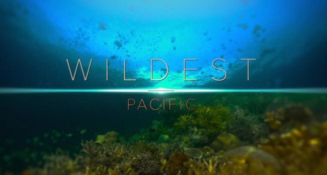 Ocean Activities Wild Pacific