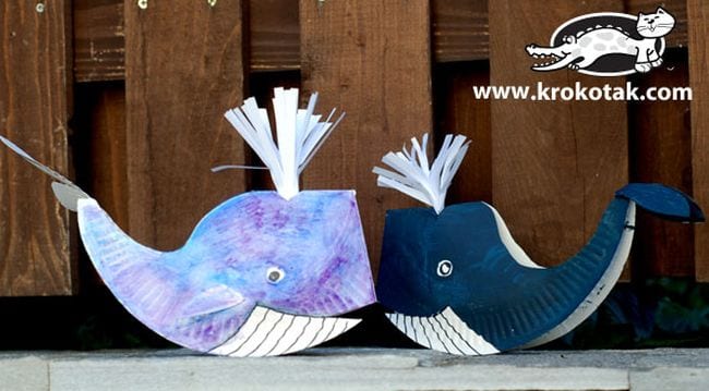 Ocean Activities Krokotak