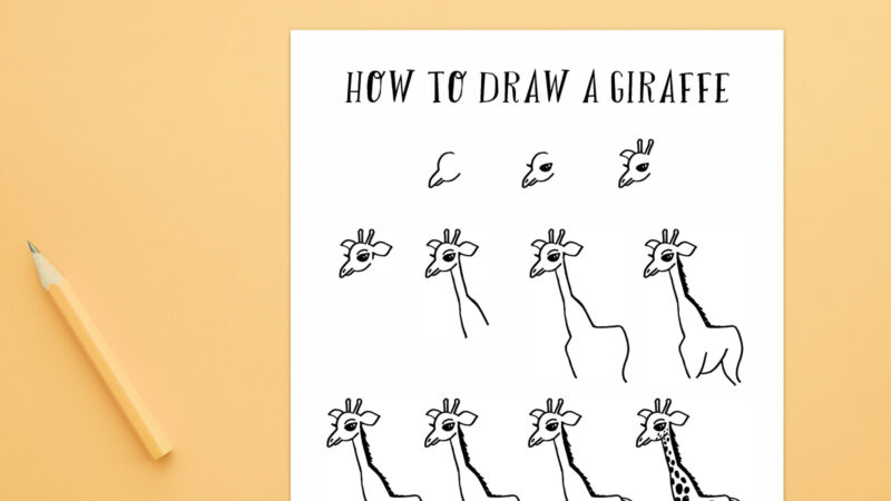 How to Draw a Giraffe Feature How to Draw a Giraffe Feature