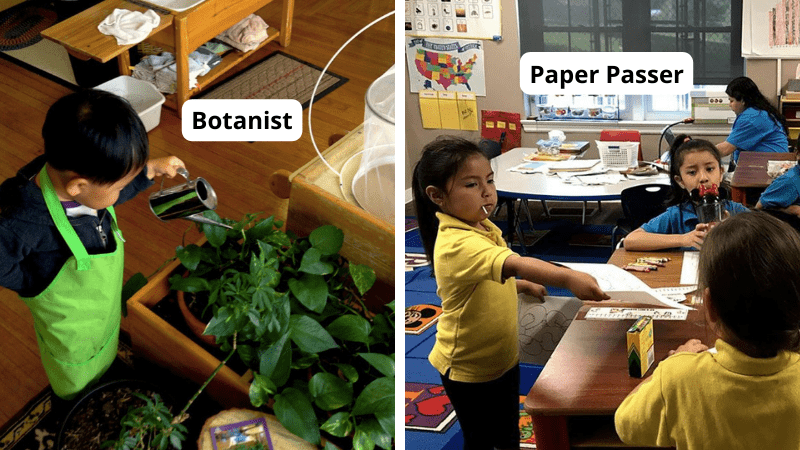 Classroom Jobs Examples of classroom jobs, including botanist and paper passer