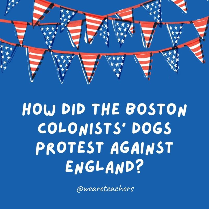 How did the Boston colonists’ dogs protest against England? How did the Boston colonists' dogs protest against England?