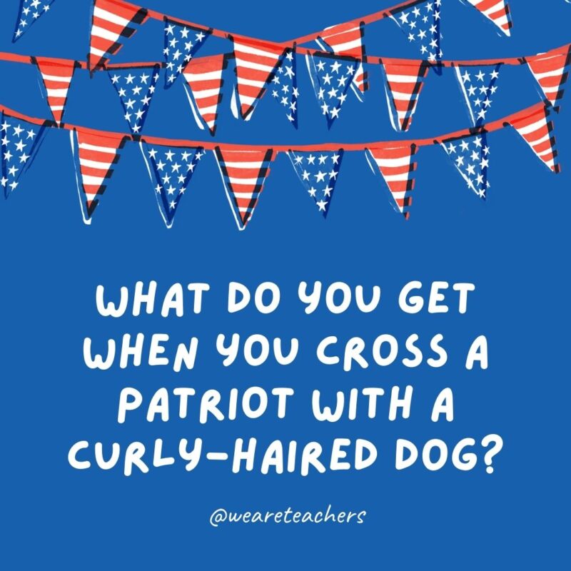 What do you get when you cross a patriot with a curly-haired dog? What do you get when you cross a patriot with a curly-haired dog?