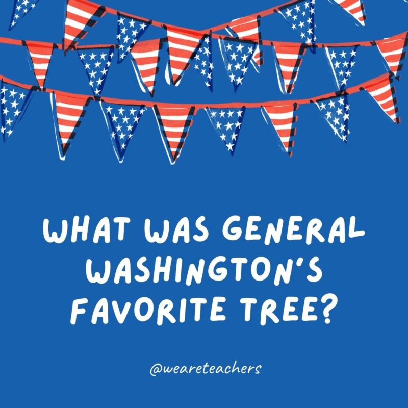 This example of 4th of July jokes says What was General Washington’s favorite tree? This example of 4th of July jokes says What was General Washington's favorite tree?