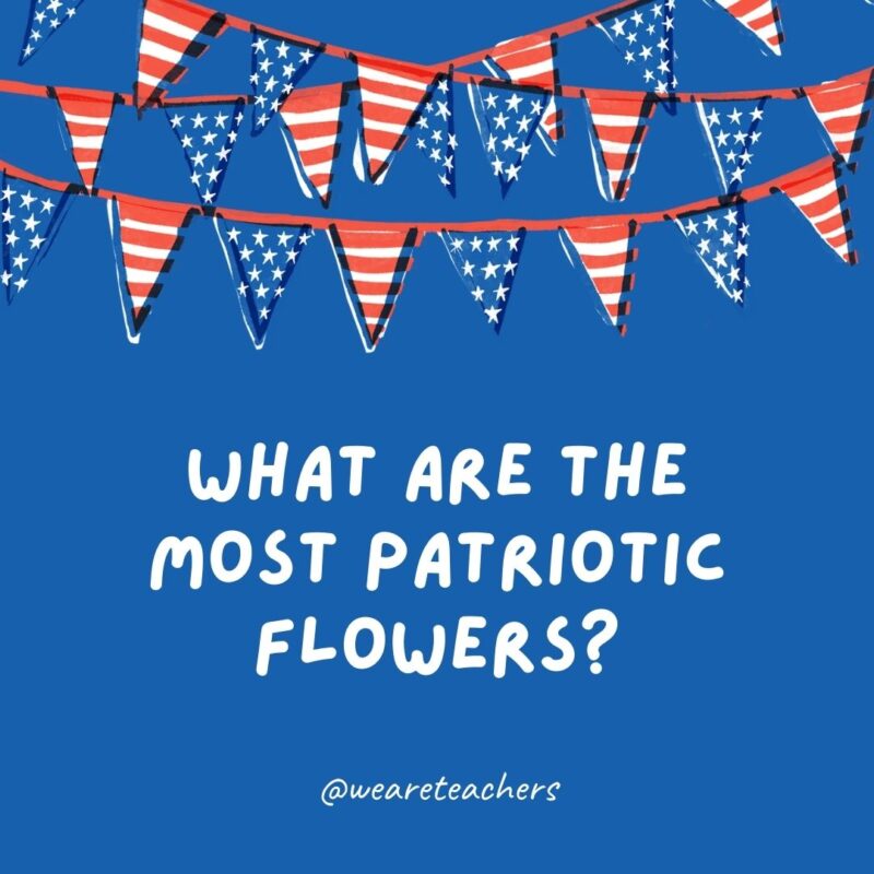 This example of 4th of July jokes says What are the most patriotic flowers? This example of 4th of July jokes says What are the most patriotic flowers?