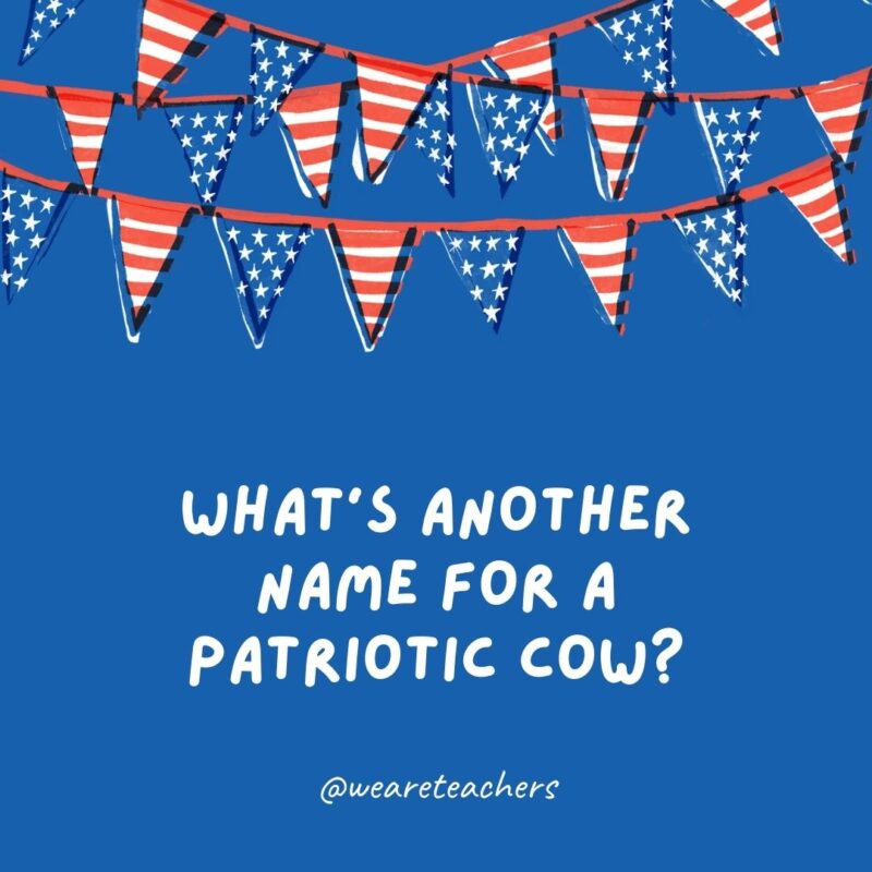 What’s another name for a patriotic cow? What's another name for a patriotic cow?
