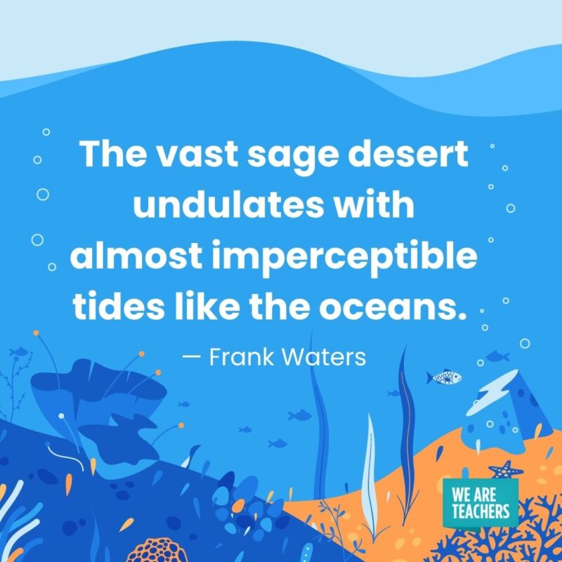 The vast sage desert undulates with almost imperceptible tides like the oceans. — Frank Waters The vast sage desert undulates with almost imperceptible tides like the oceans. — Frank Waters