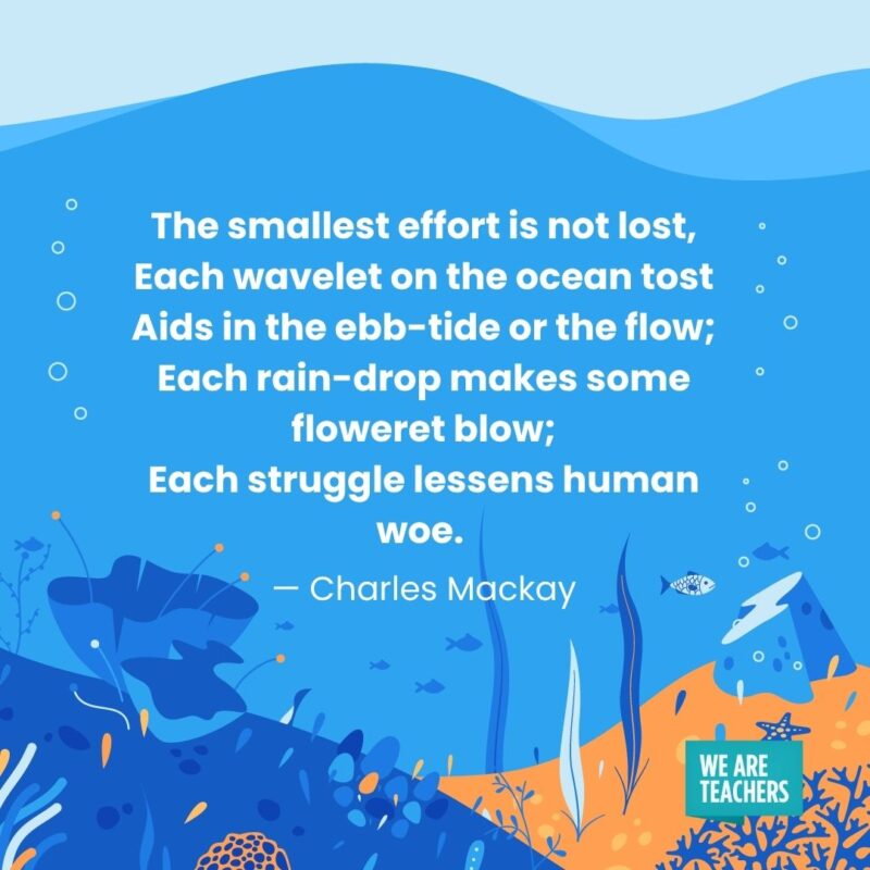 The smallest effort is not lost, Each wavelet on the ocean tost Aids in the ebb-tide or the flow; Each rain-drop makes some floweret blow; Each struggle lessens human woe. — Charles Mackay The smallest effort is not lost,
Each wavelet on the ocean tost
Aids in the ebb-tide or the flow;
Each rain-drop makes some floweret blow;
Each struggle lessens human woe. — Charles Mackay