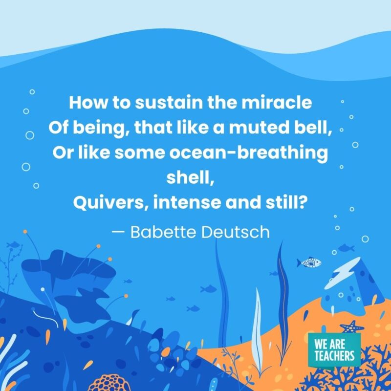 How to sustain the miracle Of being, that like a muted bell, Or like some ocean-breathing shell, Quivers, intense and still? — Babette Deutsch How to sustain the miracle
Of being, that like a muted bell,
Or like some ocean-breathing shell,
Quivers, intense and still? — Babette Deutsch