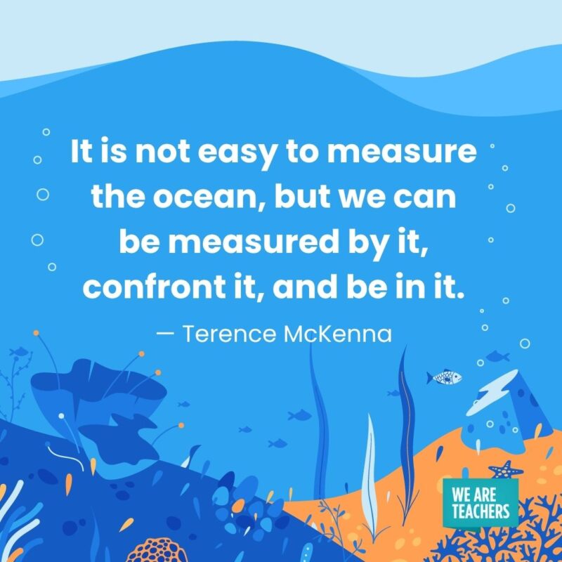 It is not easy to measure the ocean, but we can be measured by it, confront it, and be in it. — Terence McKenna It is not easy to measure the ocean, but we can be measured by it, confront it, and be in it. — Terence McKenna