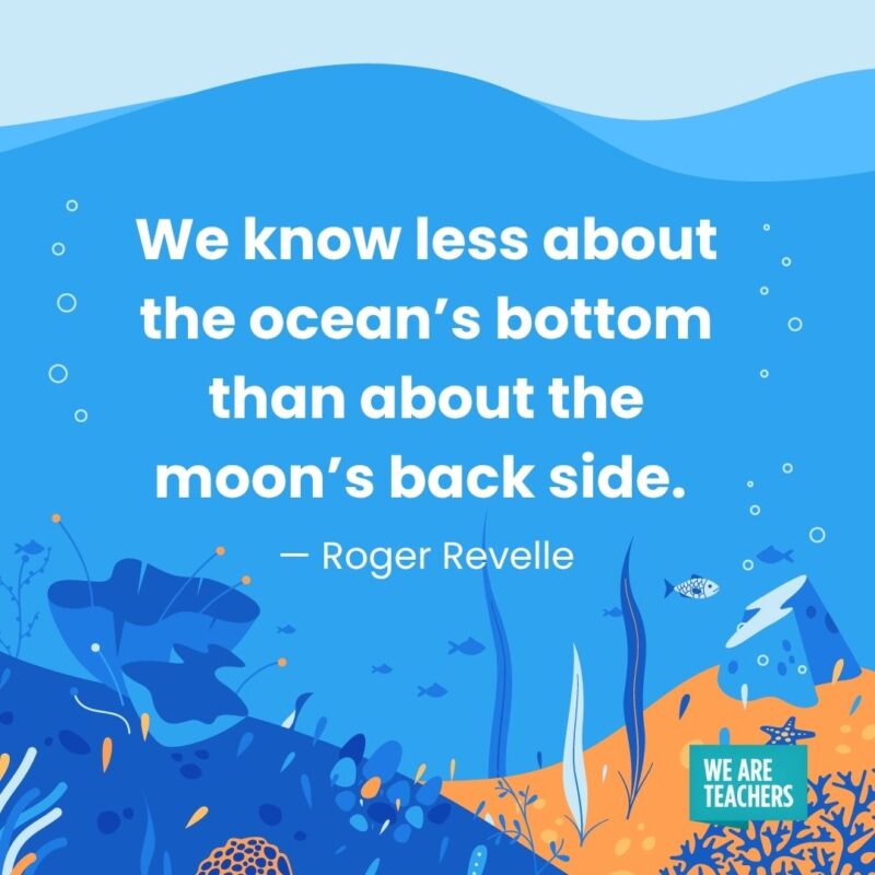 We know less about the ocean’s bottom than about the moon’s back side. — Roger Revelle We know less about the ocean's bottom than about the moon's back side. — Roger Revelle