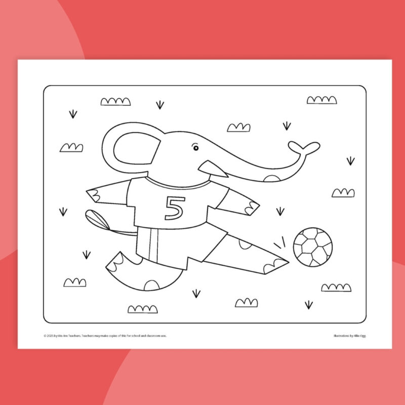 Soccer elephant Soccer elephant