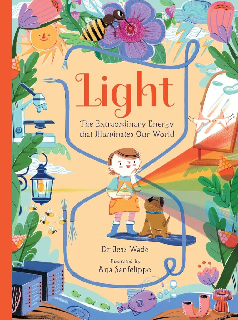 Light Light book cover