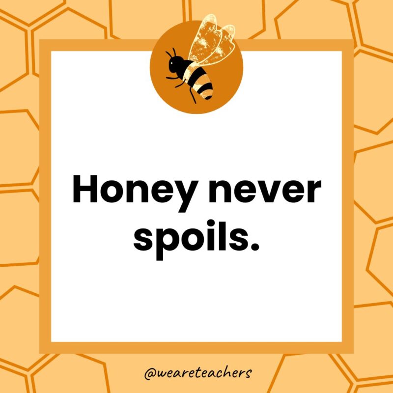 Honey never spoils. Honey never spoils.