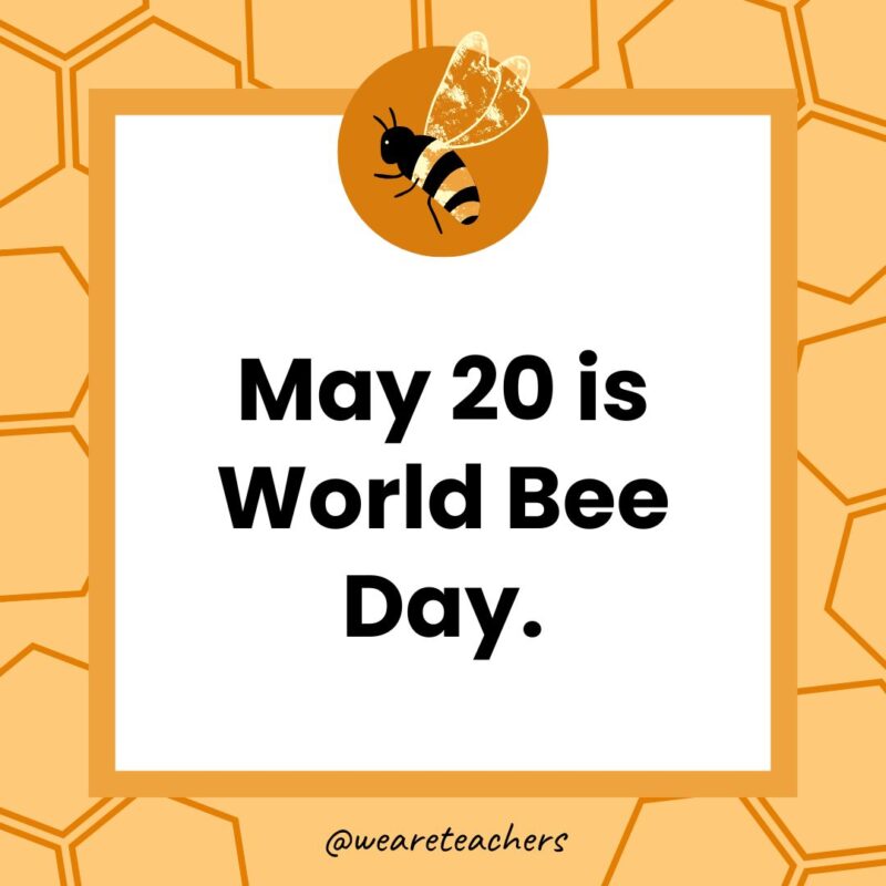 May 20 is World Bee Day. May 20 is World Bee Day.