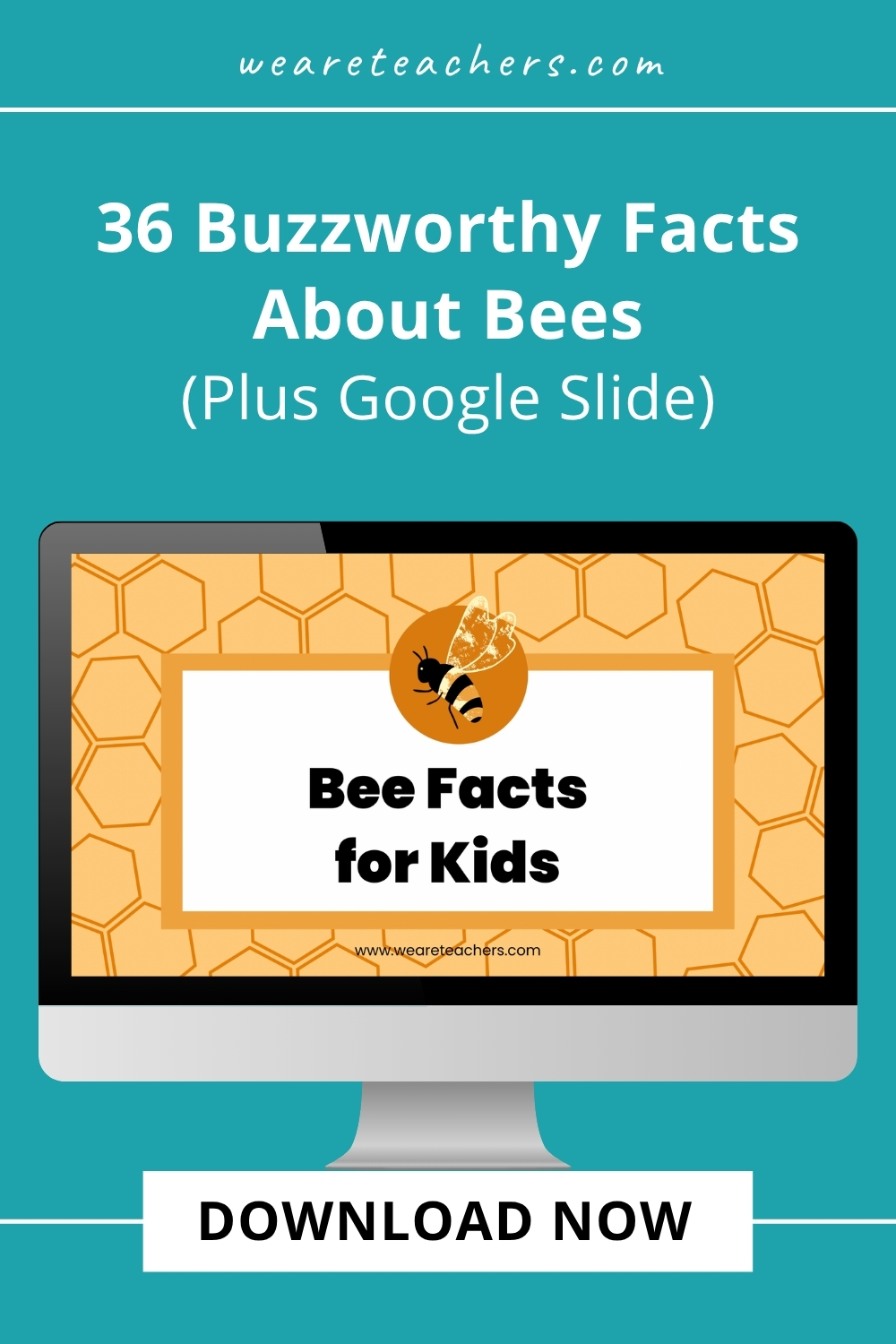 WeAreTeachers_Article_Bee Fact_Pinterest Pin Buzz, buzz! Have you ever wanted to know more about bees? These buzzworthy facts about bees will give you a new perspective on them.