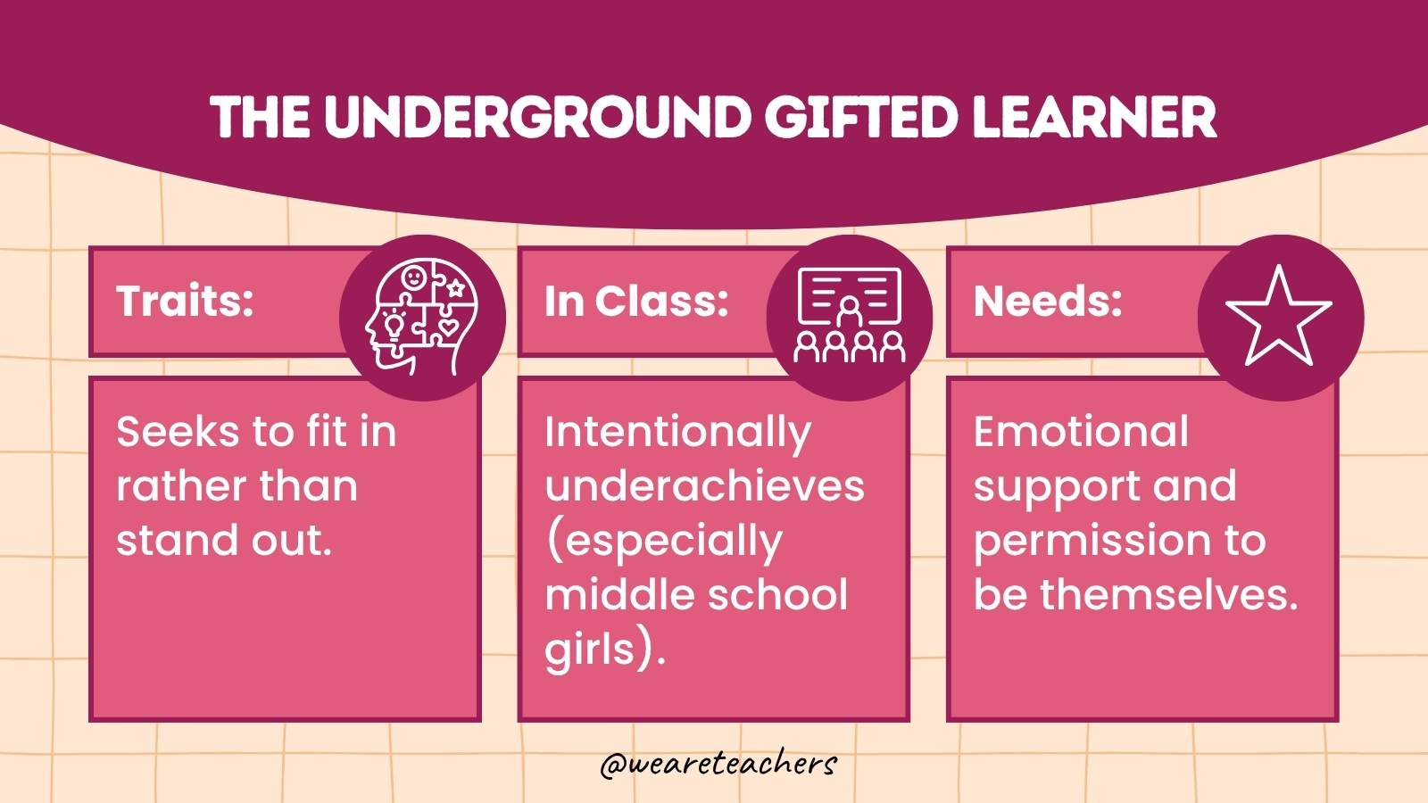 The Underground Gifted Learner