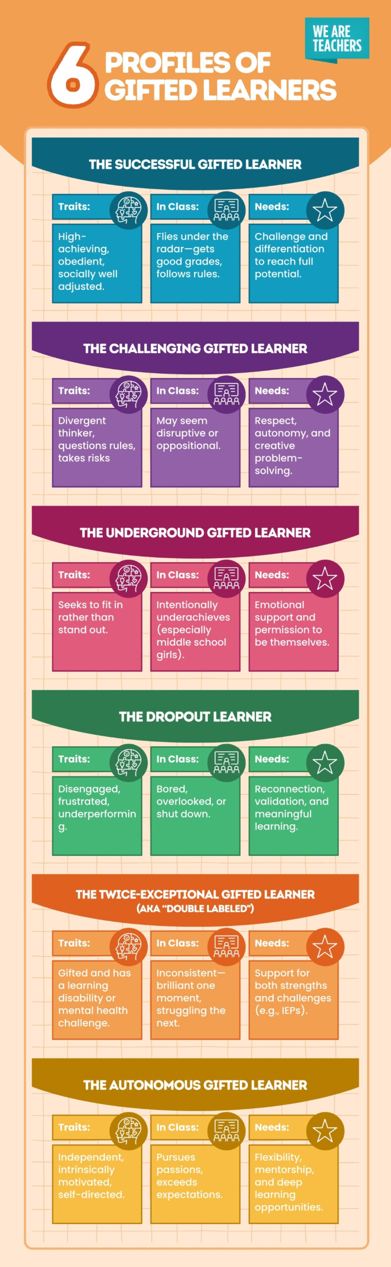 6 profiles of gifted learners