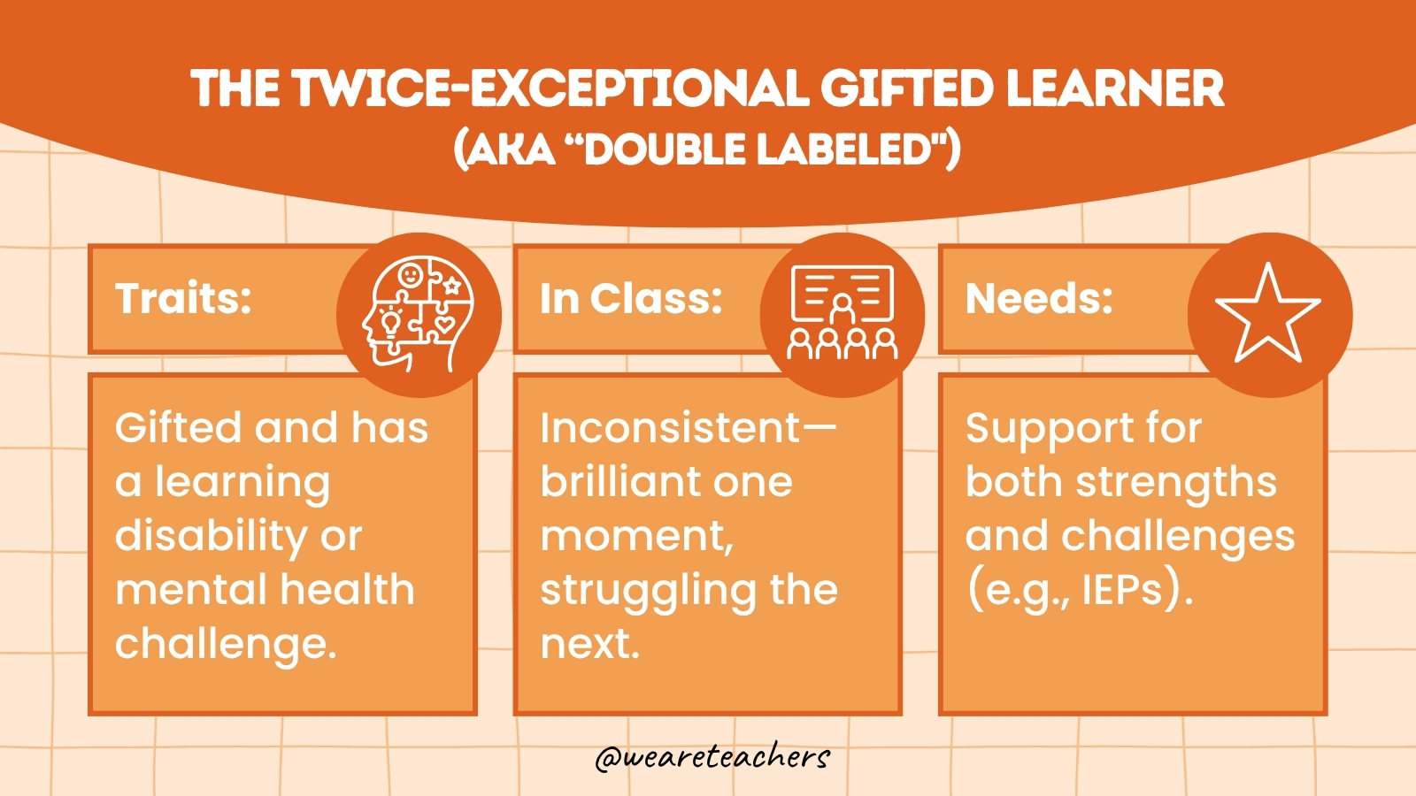The Twice-Exceptional Gifted Learner (also known as 
