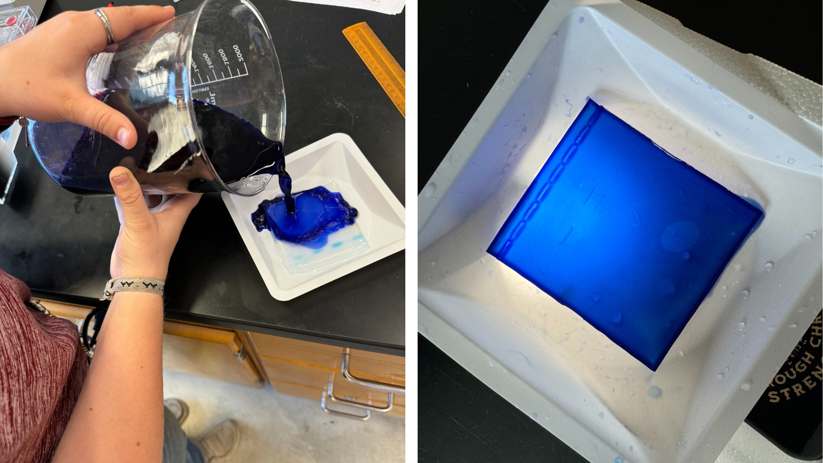 Your Students will Feel Like Real Scientists with This Biotech for Life Science Kit Images of students using the Ward's Biotech for Life science kit
