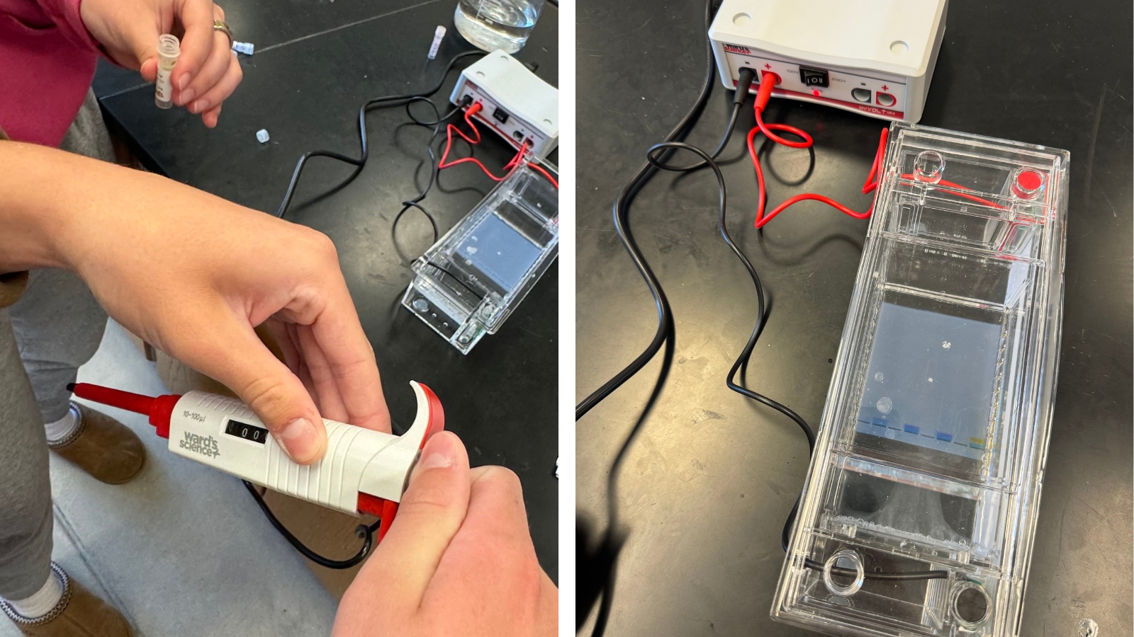 Your Students will Feel Like Real Scientists with This Biotech for Life Science Kit Images of students using the Ward's Biotech for Life kit in their classroom lab