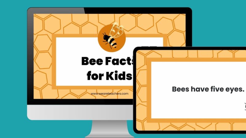 Facts about bees Feature Free Facts About Bees Google Slides