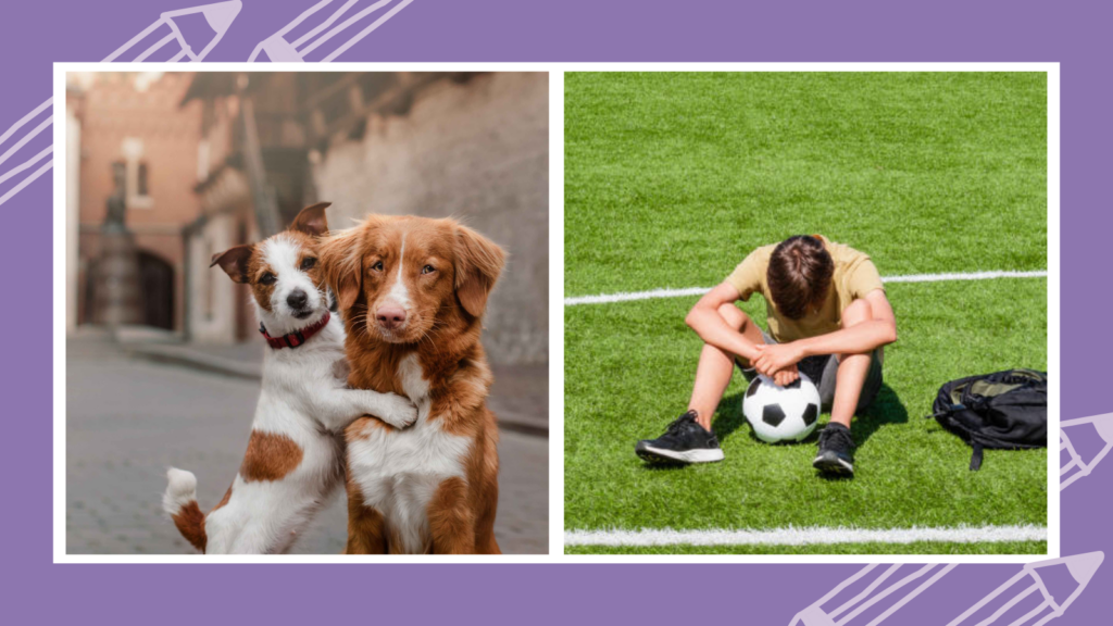 Two cute dogs hugging and a sad teen sitting on soccer field with his head between his knees.