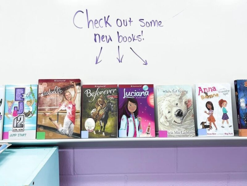 Books-on-Ledge