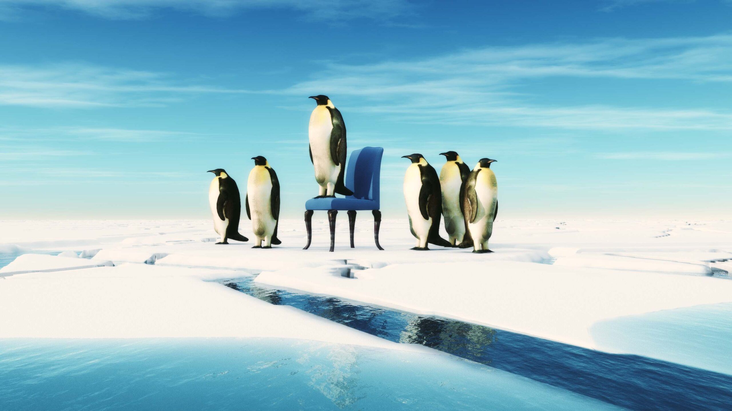 Picture Writing PRompt: Penguin on a Chair Penguin leader sits on a chair in the snow with his team. Team concept. This is a 3d render illustration