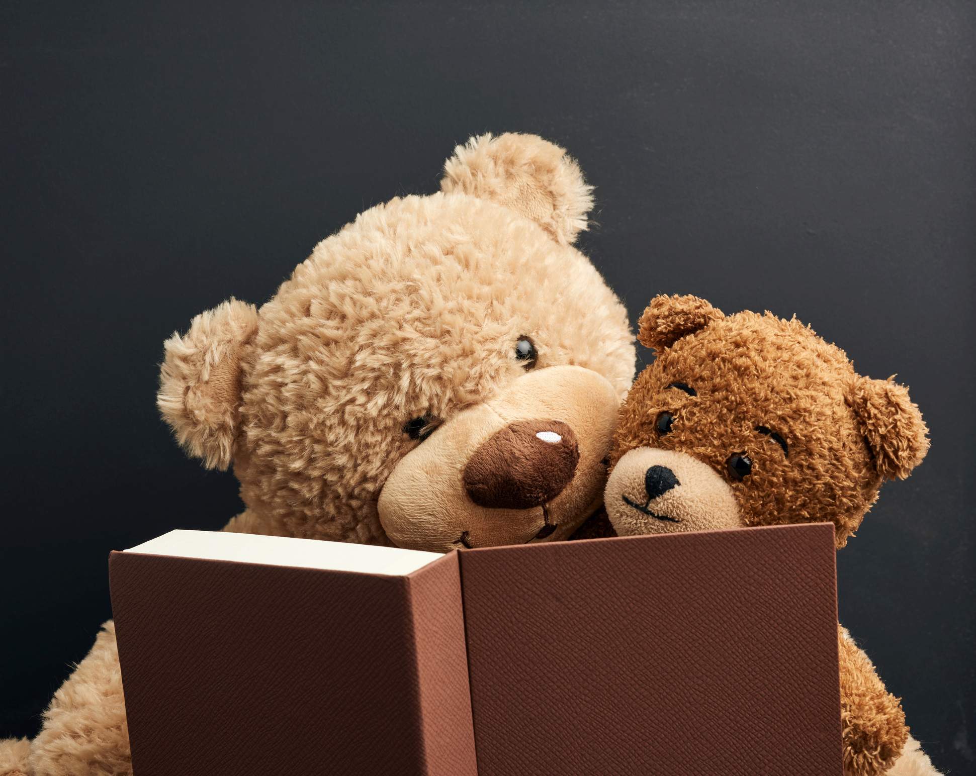 Picture Writing Prompts: Teddy Bears two brown teddy bears are sitting with a book on a black background, concept of family togetherness and leisure