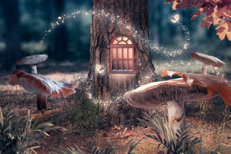 Picture Prompts: Fairy House Fantasy enchanted fairy tale forest with giant mushrooms, magical elf or gnome house with shining window in pine tree hollow and flying fairytale magic butterflies leaving path with luminous sparkles