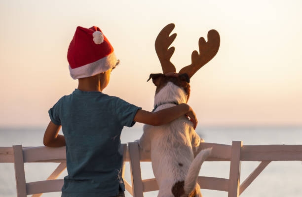 Picture Prompt: Dreaming A boy wearing a Santa hat and a dog wearing antlers looking out on the ocean
