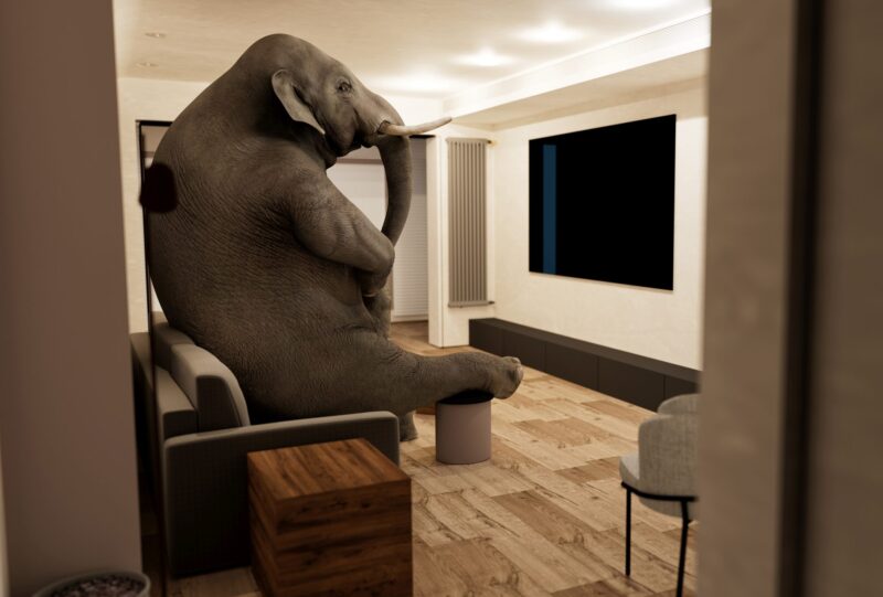 Picture Writing Prompt: Elephant in the Room An elephant sits on a couch in an empty room facing a big blank TV screen