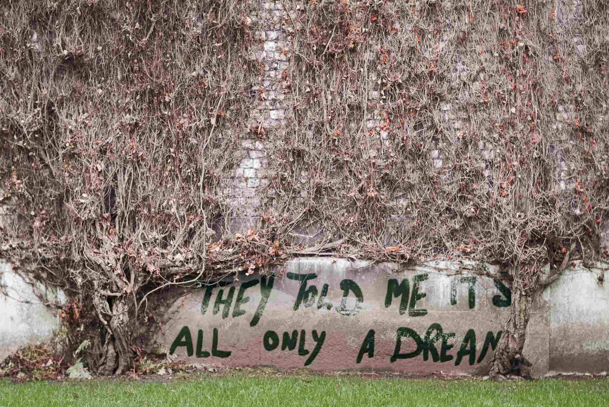 Picture Prompts: Only a Dream Two dead or dried plants merge together on a wall; a graffiti reads "They told me it's all only a dream".