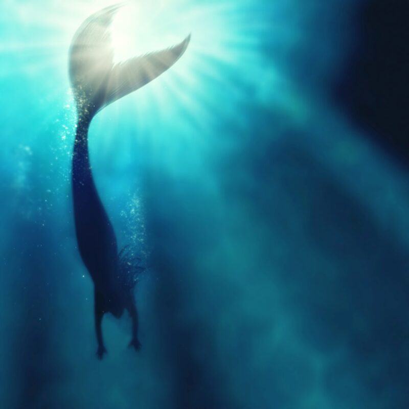 Picture Writing Prompts: Mermaid Mystery A silhouette shot of a mermaid swimming in solitude in the deep blue sea.