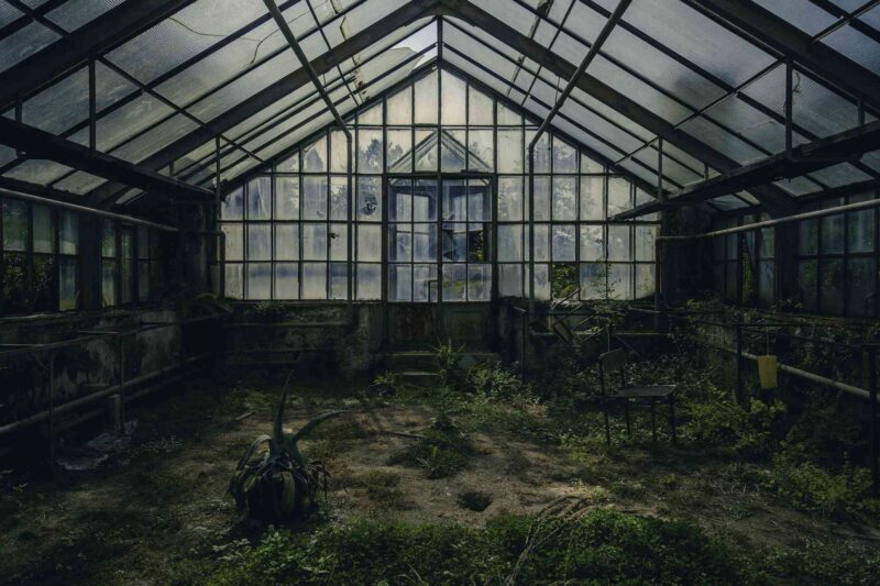Picture Prompts: Greenhouse Old abandoned greenhouse with overgrown plants