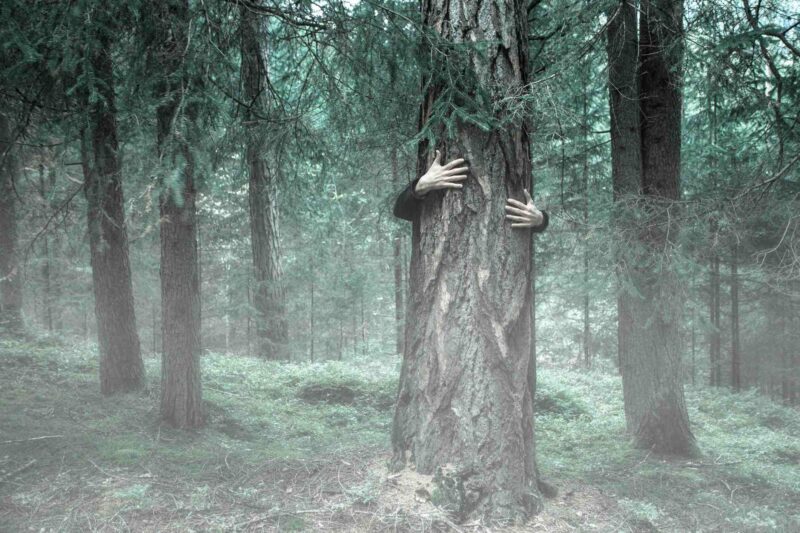 Writing Prompts: Tree Hugger Hands wrap around a tree trunk from behind in the woods