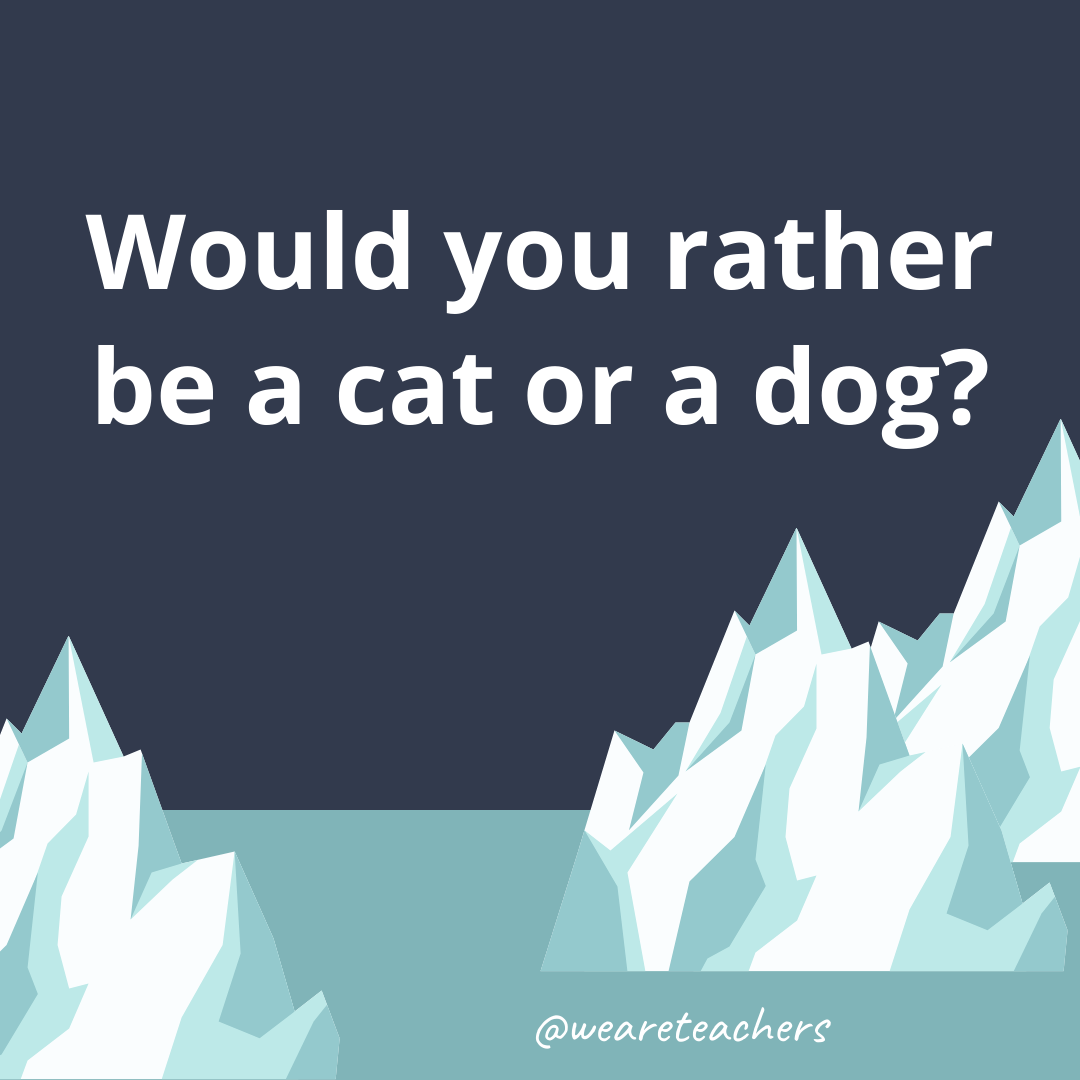 Be a cat or a dog? Be a cat or a dog?- fun icebreaker questions- ice breaker questions for teens