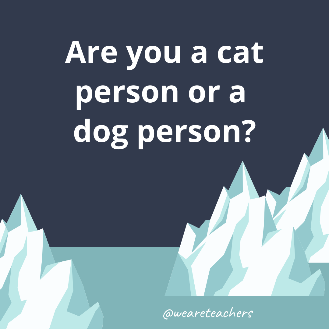 Are you a cat person or a dog person? Are you a cat person or a dog person?- ice breaker questions for teens