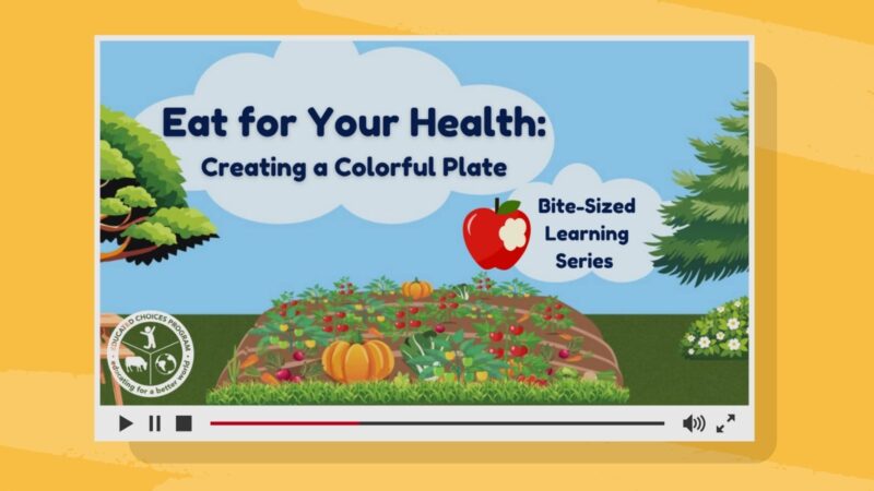 educated programs choice nutrition