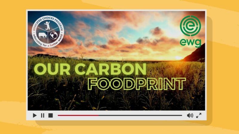Our Carbon Footprint – Educated Choices